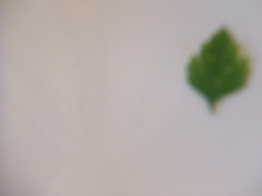 breath*