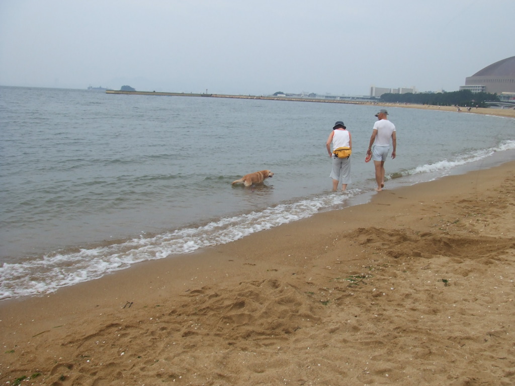 sea*
