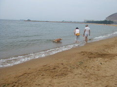 sea*