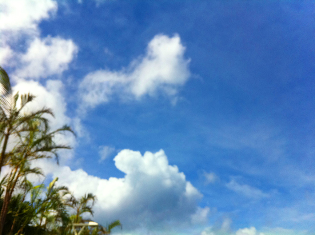 okinawa*