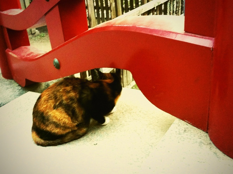 neco*