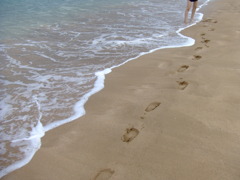 leave one's footprints