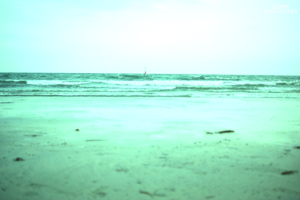 海岸線
