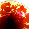 とじこめた春