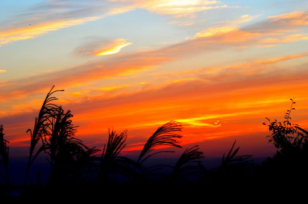 房総の夕陽