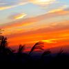 房総の夕陽