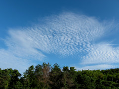うろこ雲 
