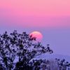 夕陽　2011,11,13
