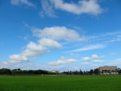 夏空