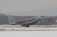 JASDF F-15J 52-8847