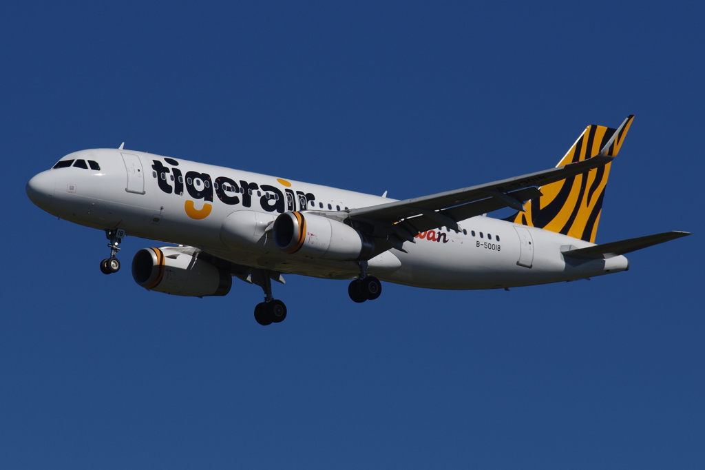 tiger-air A320-200 B-50018