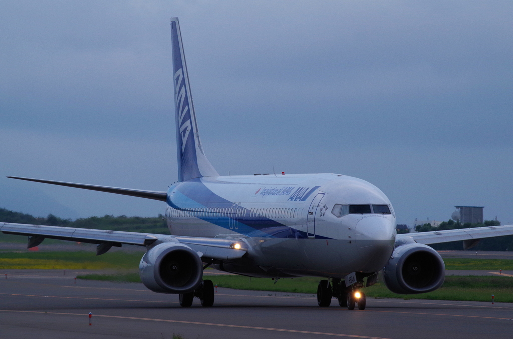 ANA B737-800 JA65AN