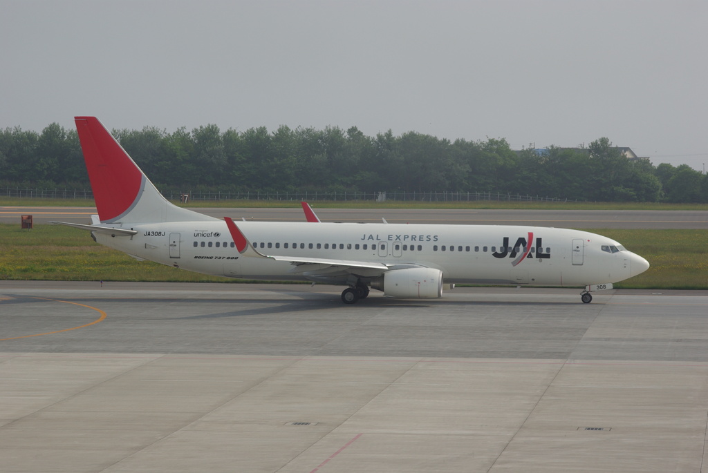 B737-800  JA308J