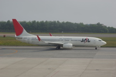 B737-800  JA308J