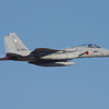 JASDF F-15J 52-8863