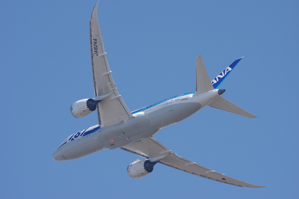 ANA B787-8 JA824A