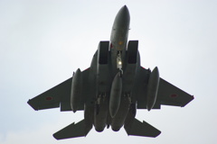 JASDF F-15J 42-8830