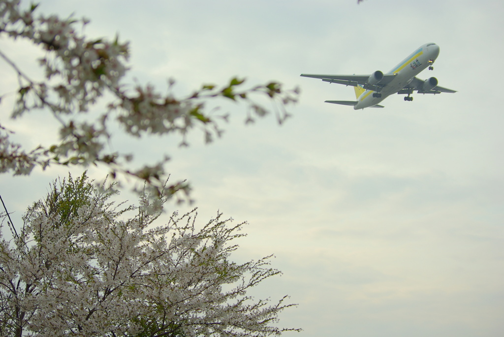 B767-300  2012春