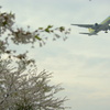 B767-300  2012春