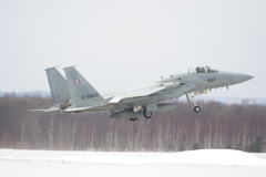 JASDF F-15J 12-8803