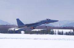 JASDF F-15J 42-8834