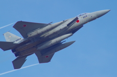 JASDF F-15J 62-8869
