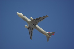 B767-300  JA8397