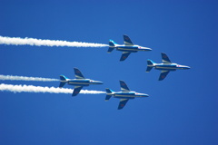 Blue Impuls 2011(3)