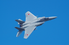 JASDF F-15J 42-8839