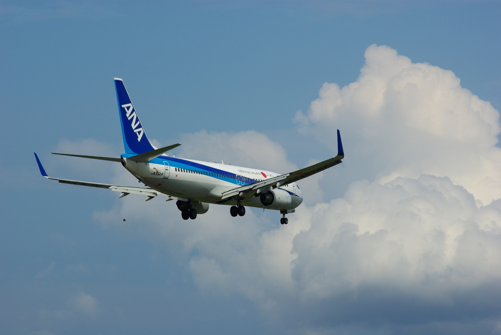 B737-800 JA55AN