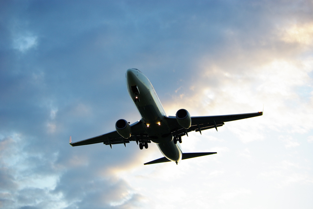 B737-800  JA334J