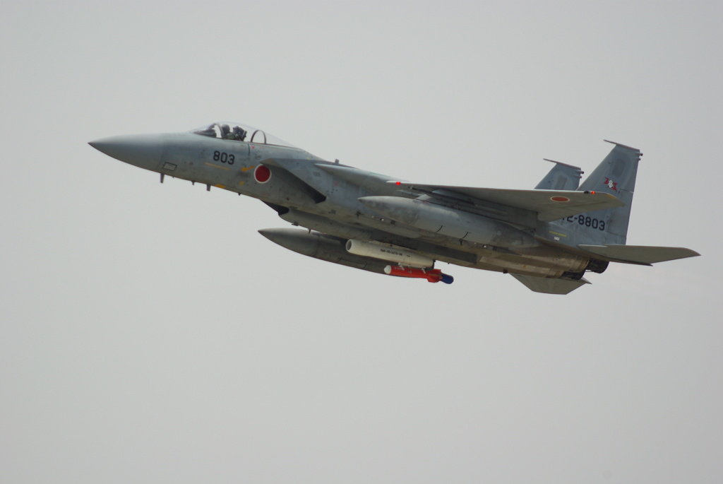 JASDF F-15J 12-8803(2)