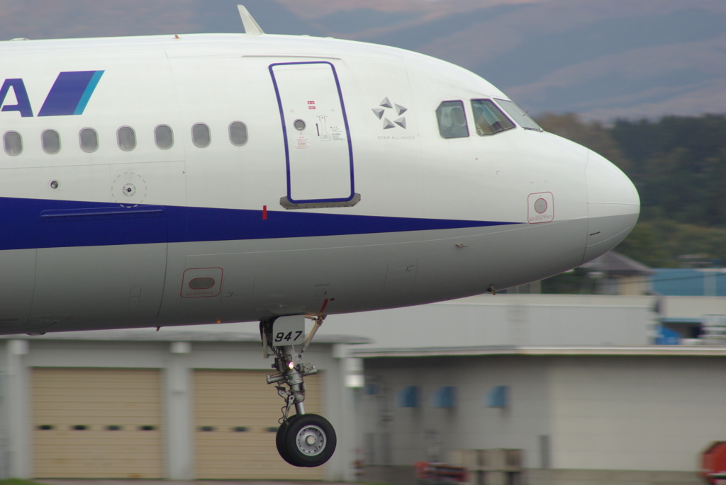 ANA A320-200 JA8947(2)