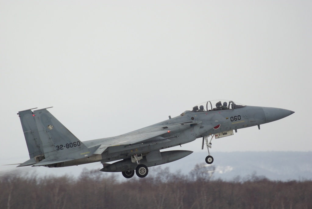 JASDF F-15DJ 32-8060