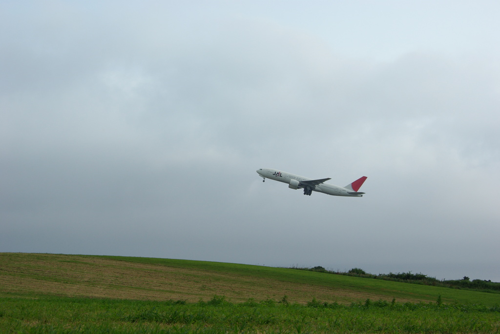 B777-200  JA008D