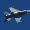 USAF F-16C 91423(2)