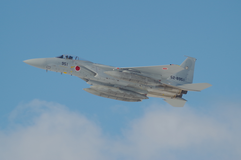 JASDF F-15J 52-8951