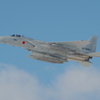 JASDF F-15J 52-8951