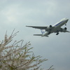 B777-200 JA8969  2012春