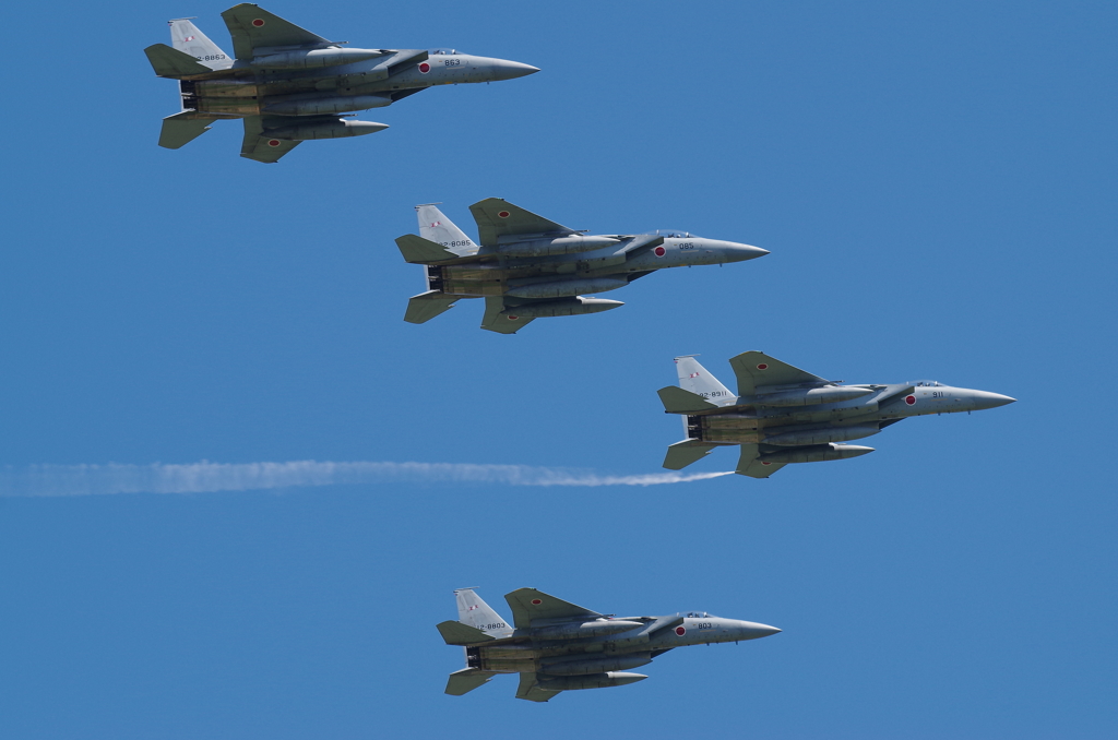 JASDF F-15J/DJ×4機　in OKADAMA