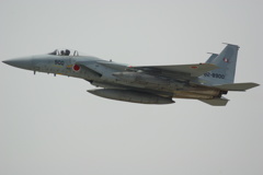 JASDF F-15J 82-8900