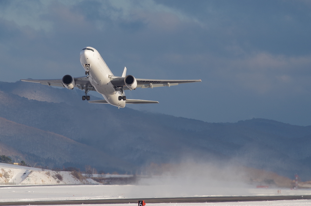 JAL B767-300 JA8986