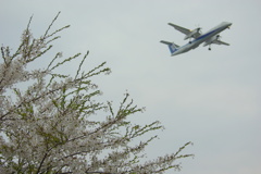 DHC8-Q400　2012春