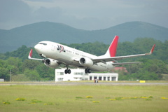 B737-800 JA313J
