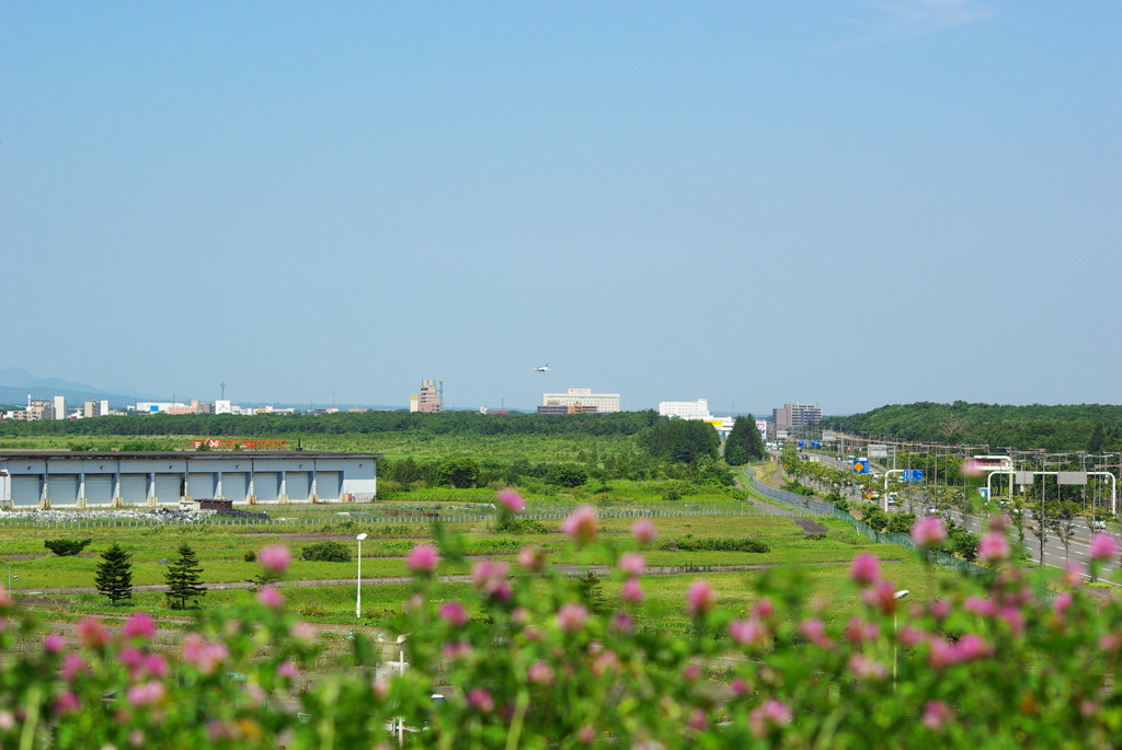 ジオラマ風な一枚