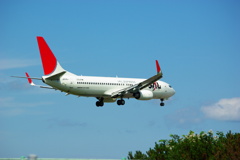 B737-800  JA316J