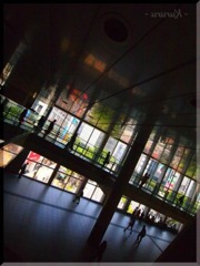 shibuya