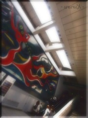 shibuya