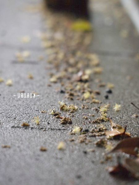 雨ノ後ハ-1