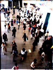 shibuya